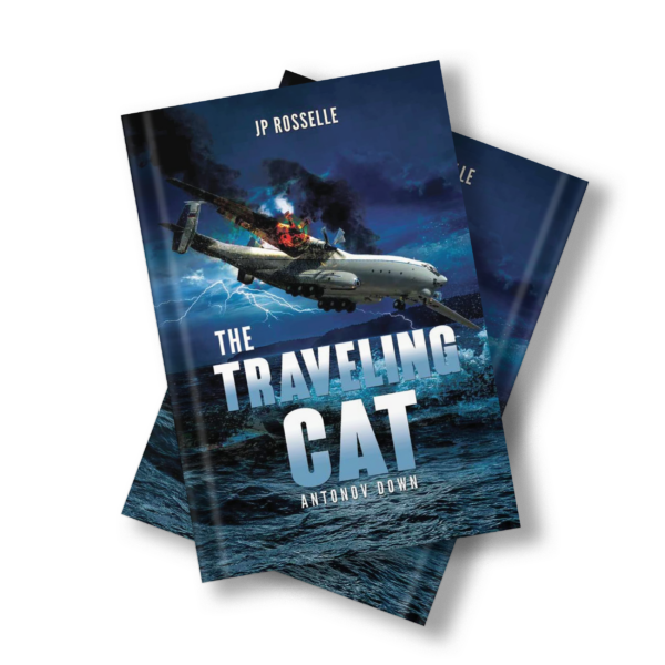 The travelling Cat